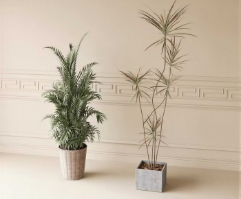 Modern Ground Green Plant Potted Plants-ID:766890057