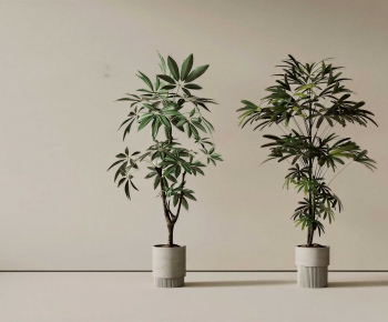 Modern Ground Green Plant Potted Plants-ID:586307056