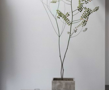 Modern Ground Green Plant Potted Plants-ID:396356111