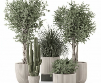 Modern Ground Green Plant Potted Plants-ID:716202979