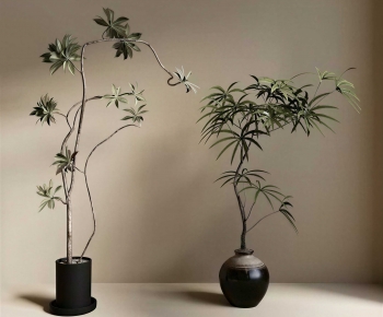 Modern Ground Green Plant Potted Plants-ID:440557003