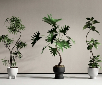 Modern Ground Green Plant Potted Plants-ID:860219001