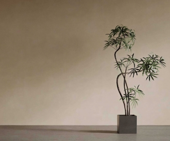 Modern Ground Green Plant Potted Plants-ID:631141907