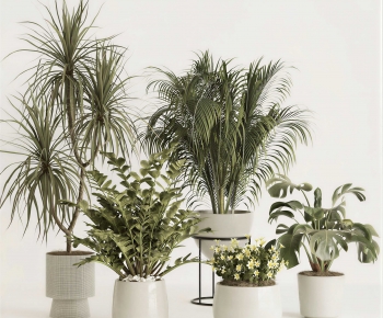 Modern Ground Green Plant Potted Plants-ID:663897045