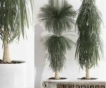 Modern Ground Green Plant Potted Plants-ID:842747934