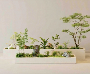 Modern Plant Pile-ID:909291981