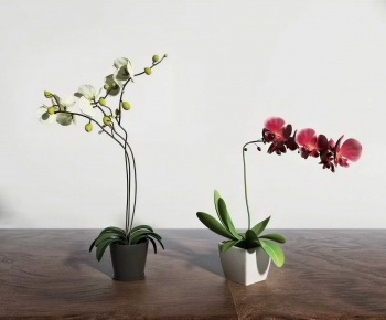 Modern Potted Green Plant-ID:107090002