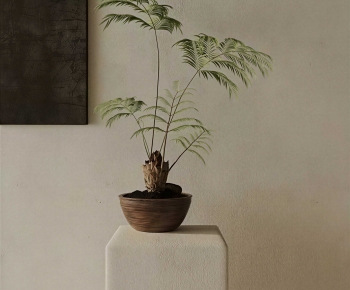 New Chinese Style Bonsai-ID:360277892