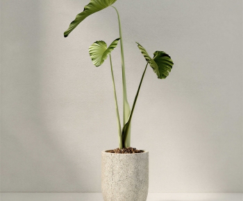 Modern Ground Green Plant Potted Plants-ID:745860109