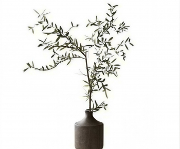 Modern Aquatic Green Plant-ID:750232937