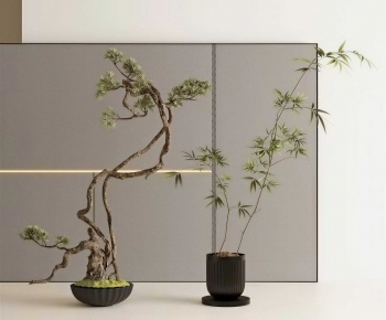 Modern Ground Green Plant Potted Plants-ID:281399015