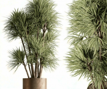 Modern Ground Green Plant Potted Plants-ID:444657096
