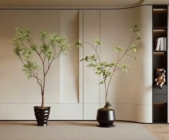 Modern Ground Green Plant Potted Plants-ID:647181032