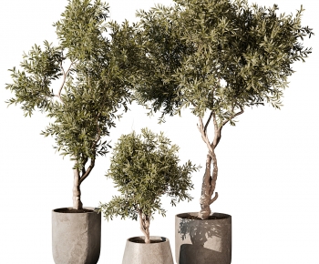 Modern Ground Green Plant Potted Plants-ID:665040097