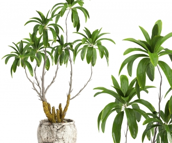 Modern Ground Green Plant Potted Plants-ID:102941042