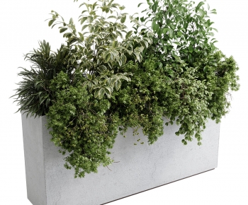 Modern Flower Bed, Flower Bowl, Flower Box-ID:228926908