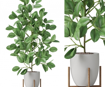 Modern Potted Green Plant-ID:417932036