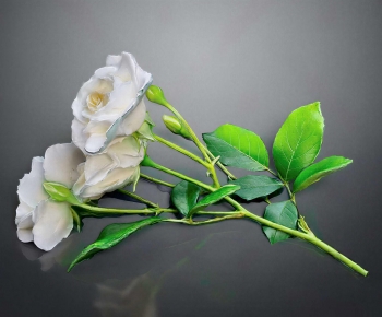 Modern Flower Arrangement-ID:313251973