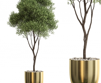 Modern Ground Green Plant Potted Plants-ID:317708973