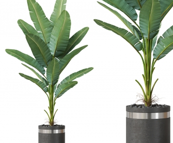 Modern Ground Green Plant Potted Plants-ID:662327055