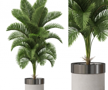 Modern Ground Green Plant Potted Plants-ID:320616969