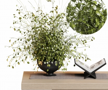 Modern Desktop Plant-ID:988456014