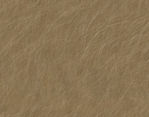 ModernBrushed Polishing