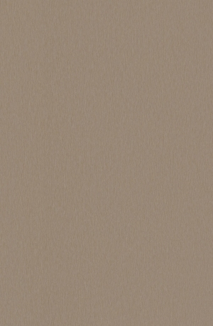 ModernBrushed Polishing