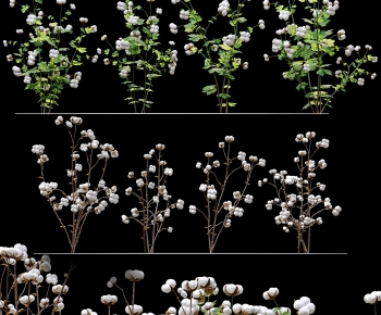 Modern Other-ID:534699925