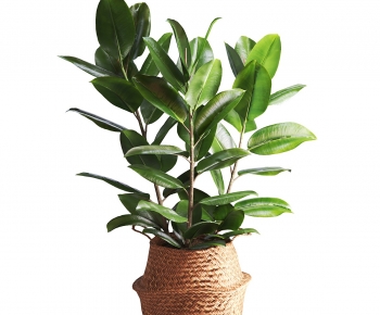 Modern Ground Green Plant Potted Plants-ID:709852932