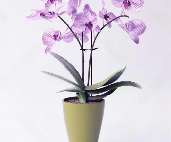 Modern Potted Green Plant-ID:470199665