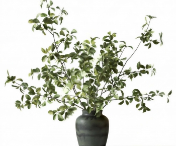 Modern Aquatic Green Plant-ID:427319057