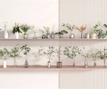 Modern Aquatic Green Plant-ID:668107998