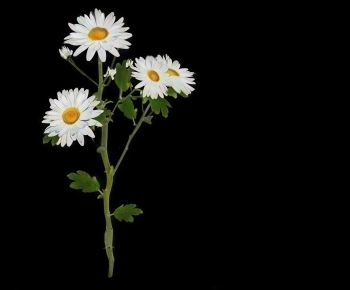 Modern Flowers And Grass-ID:216053965