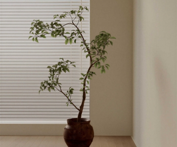 Modern Ground Green Plant Potted Plants-ID:400516032