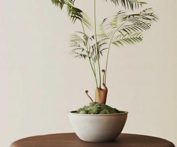 Modern Bonsai-ID:464413889