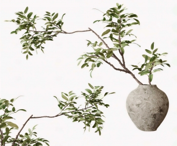 Modern Aquatic Green Plant-ID:213049895