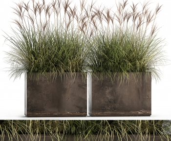 Modern Flower Bed, Flower Bowl, Flower Box-ID:818644056