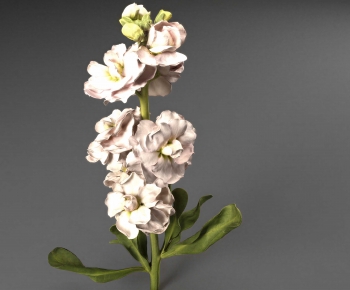 Modern Flowers And Grass-ID:197037943