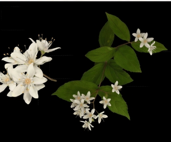 Modern Flowers And Grass-ID:890894897