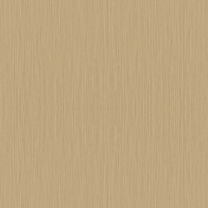 ModernBrushed Polishing