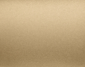 ModernBrushed Polishing