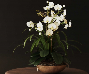 Modern Flower Arrangement-ID:473032958