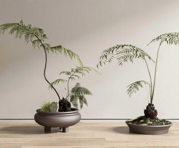 New Chinese Style Bonsai-ID:213583952