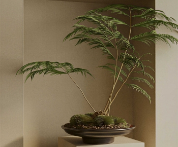 New Chinese Style Bonsai-ID:426007998