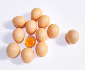 Modern Food-ID:144673118