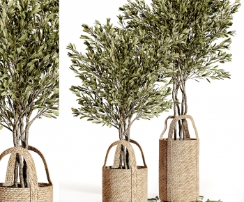 Modern Ground Green Plant Potted Plants-ID:432327038