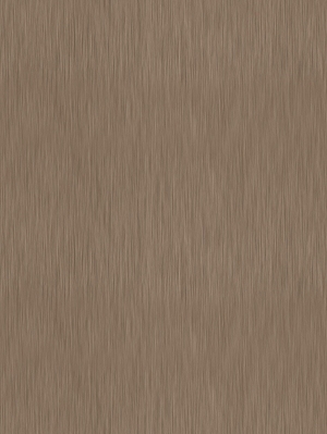 ModernBrushed Polishing