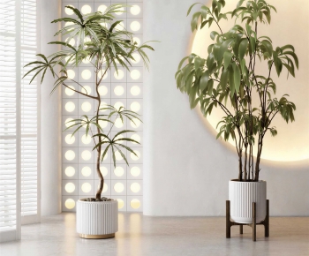 Modern Ground Green Plant Potted Plants-ID:552169089