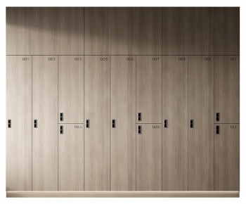 Modern Public Cabinet/lock Cabinet-ID:873368025